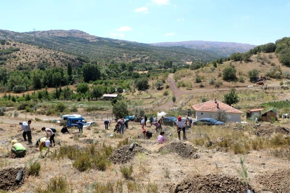 Genç Medyacılar Derneği basın hatıra ormanı açtı