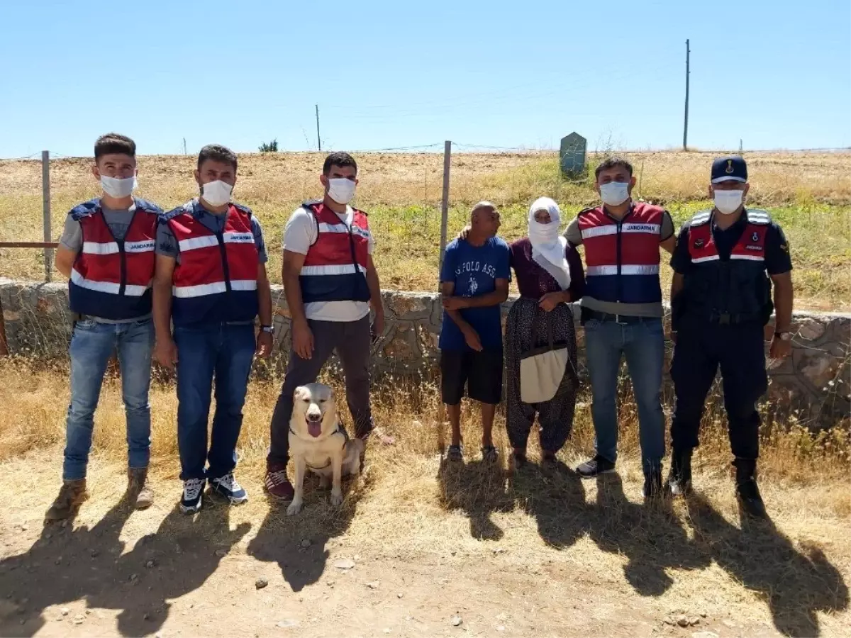 Son dakika haberleri | Kaybolan zihinsel engelli şahıs, iz takip köpeğiyle bulundu