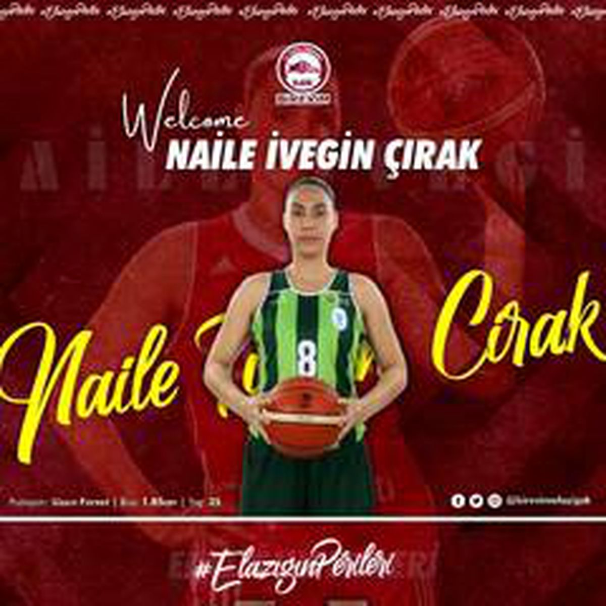 Naile İvegin Çırak, Elazığ İl Özel İdare\'de
