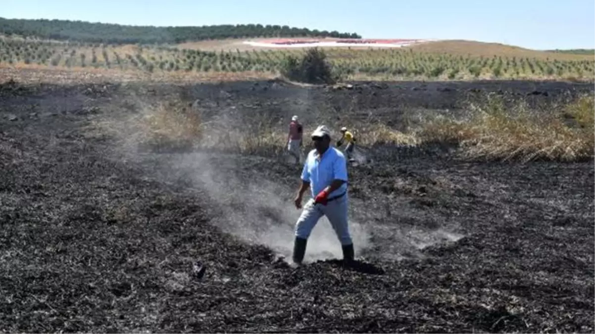 Vatandaşlar, meteor düşen alanda mıknatıslarla gök taşı aradı