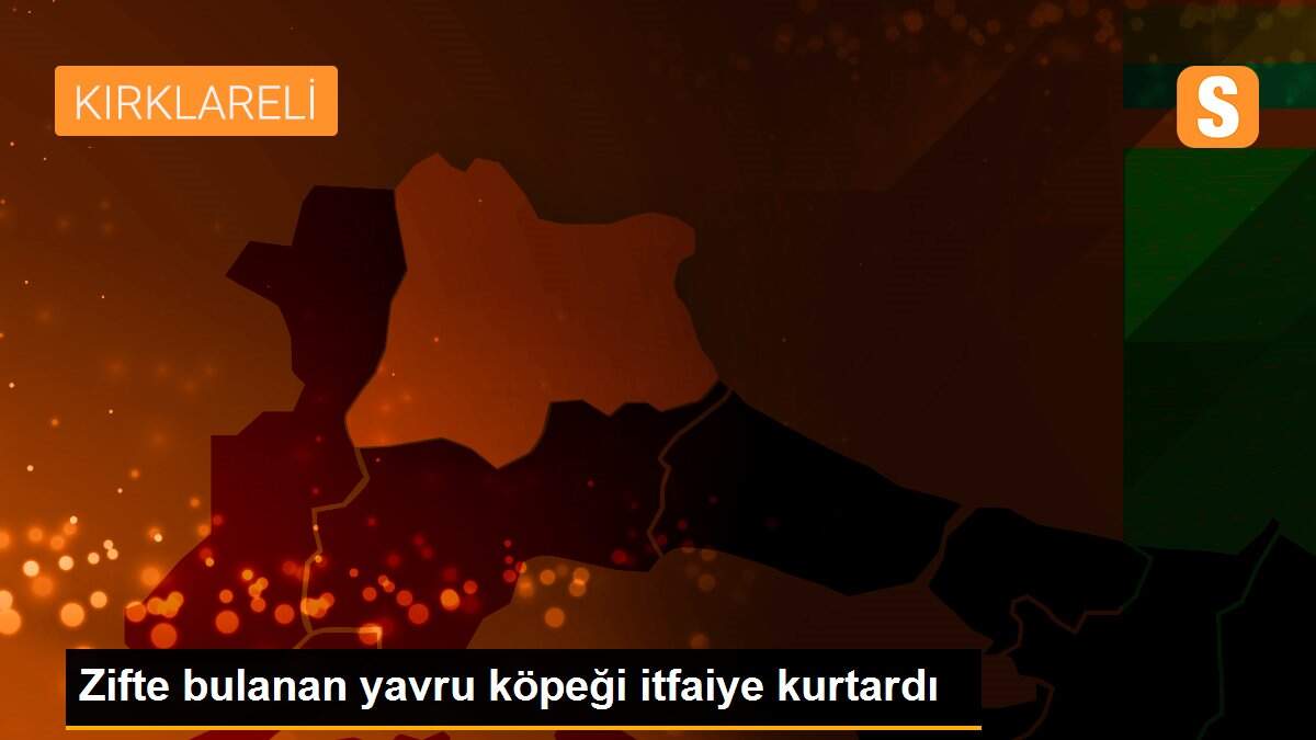 Son dakika haberleri | Zifte bulanan yavru köpeği itfaiye kurtardı