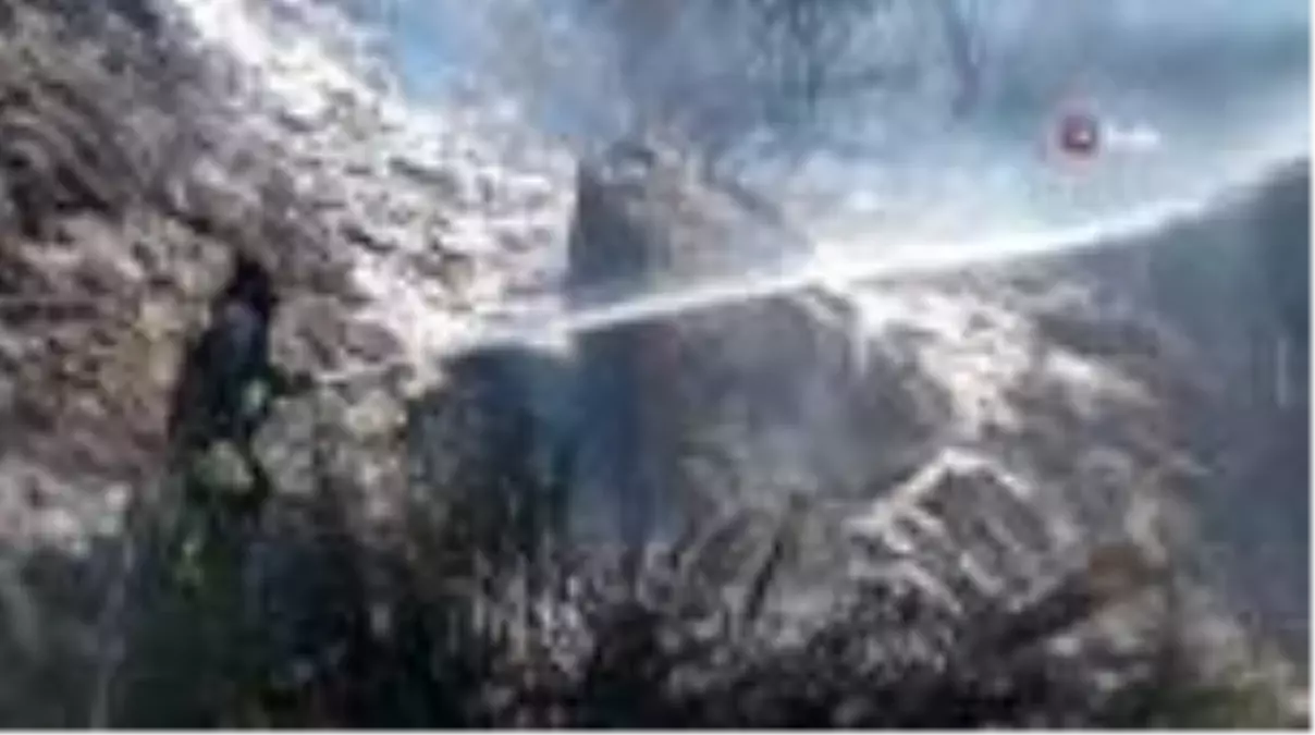 Son dakika haber! Alanya\'da çıkan yangın yerleşim yerlerine sıçramadan söndürüldü