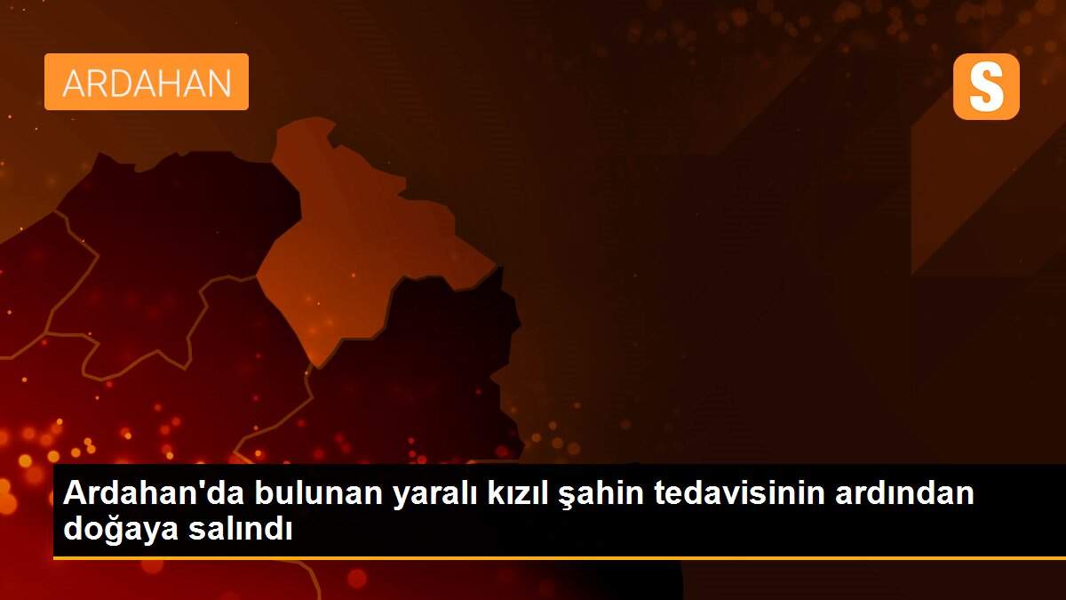 Ardahan\'da bulunan yaralı kızıl şahin tedavisinin ardından doğaya salındı
