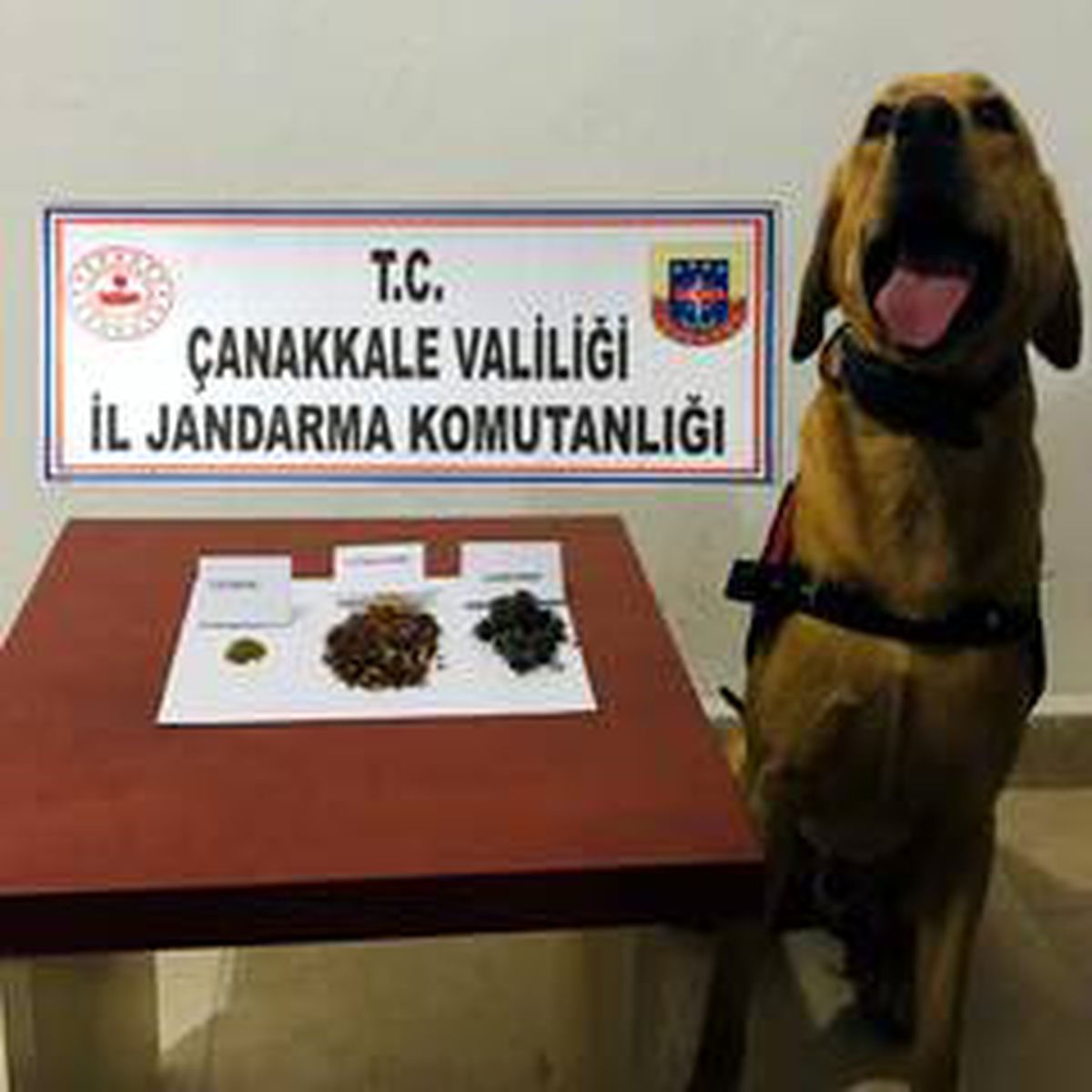 Son Dakika: Biga\'da uyuşturucu operasyonu