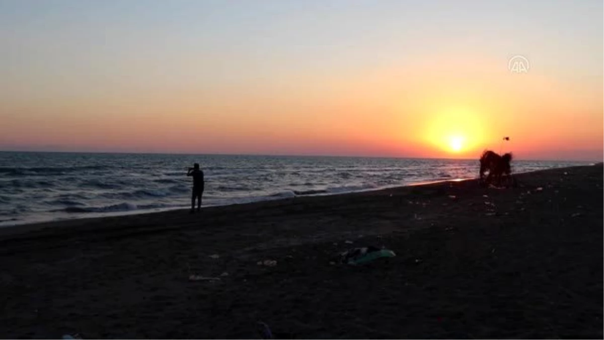 Nesli tükenme tehlikesindeki kum zambakları Adana sahillerinin "süsü" oldu