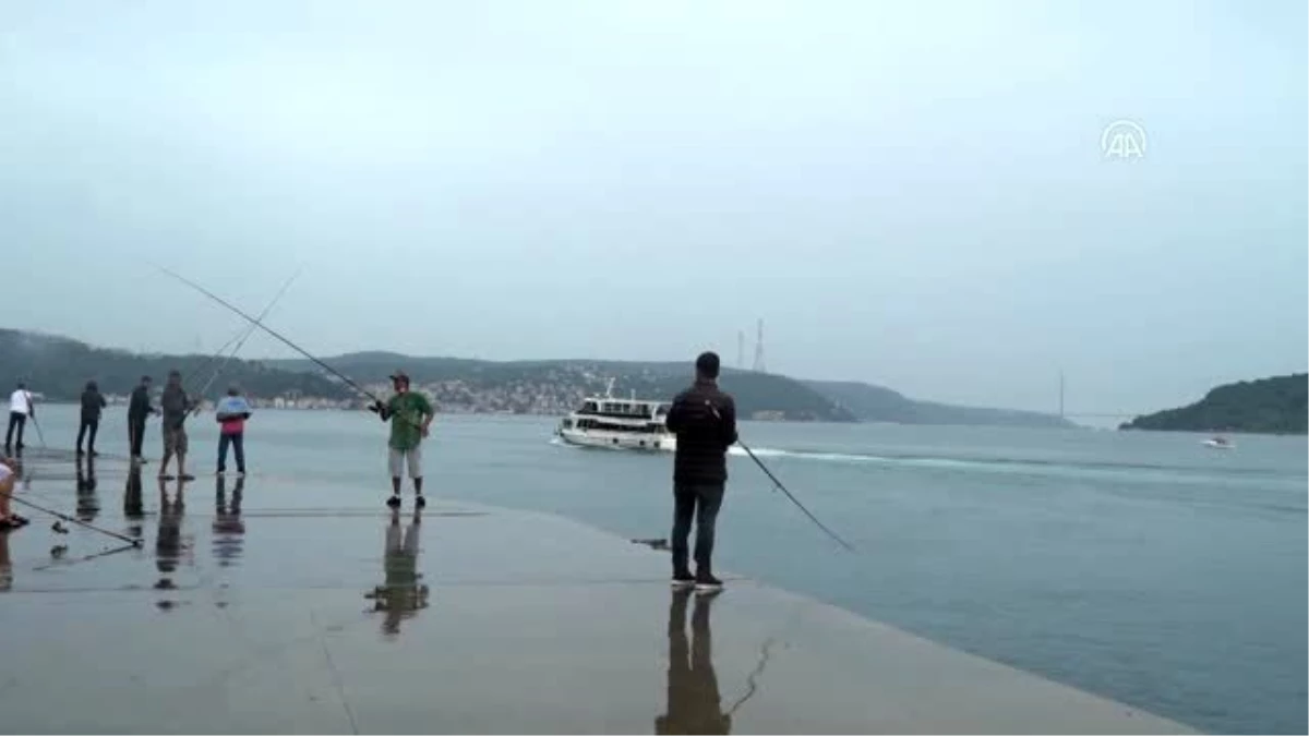 Olta balıkçıları yağışa rağmen "rastgele" demeye devam ediyor