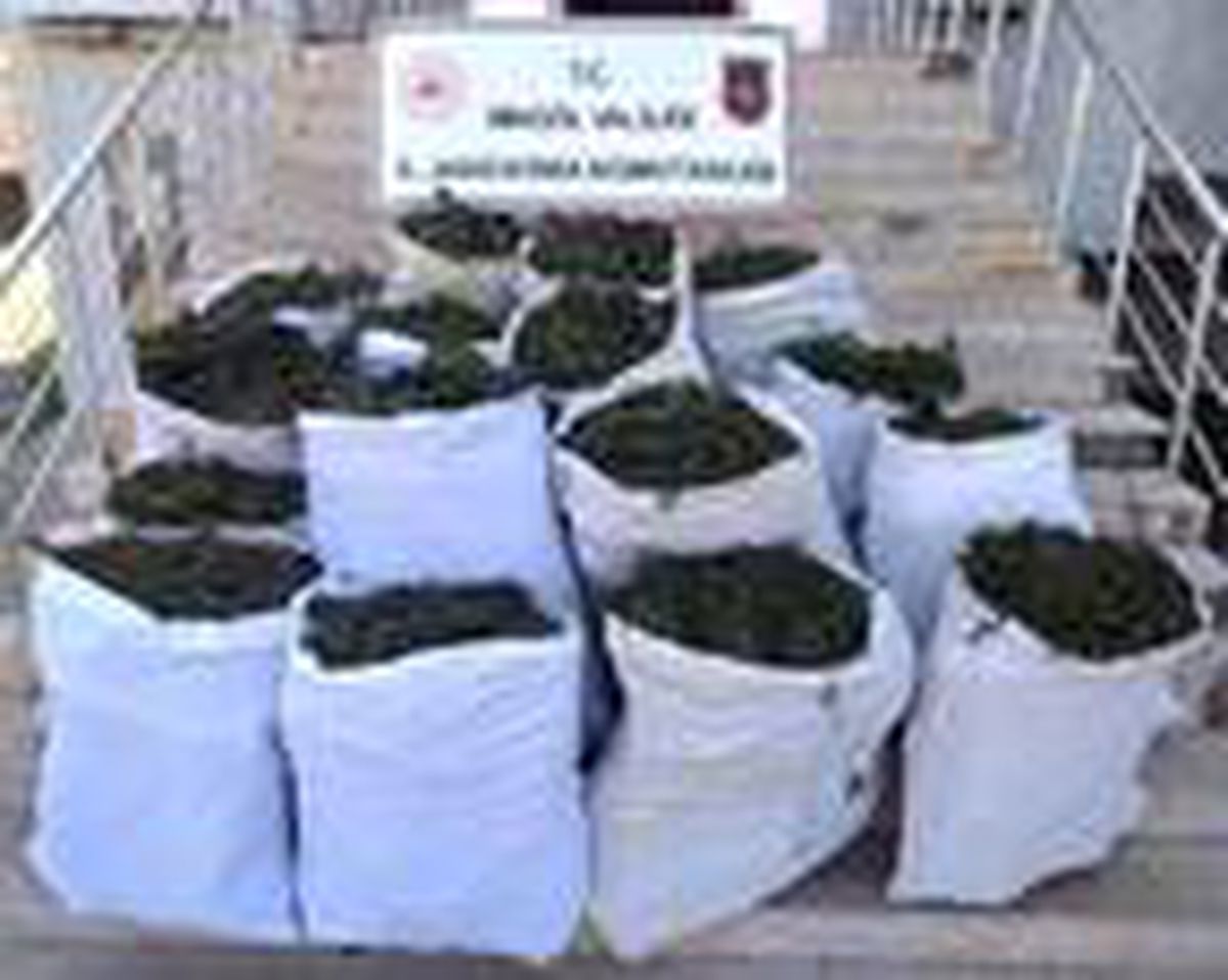 Bingöl\'de, 251 kilo esrar ele geçirildi