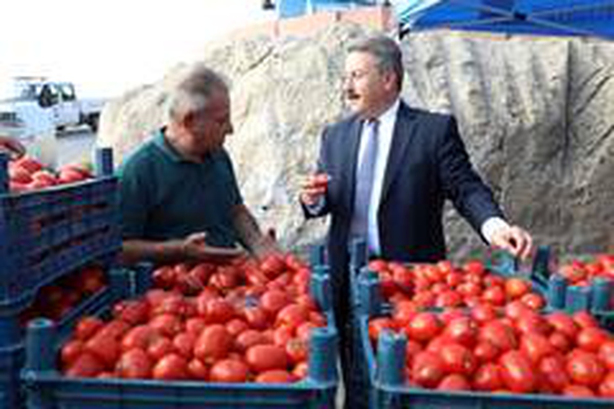 Melikgazi\'de Salça Günleri hazırlıkları tamamlandı