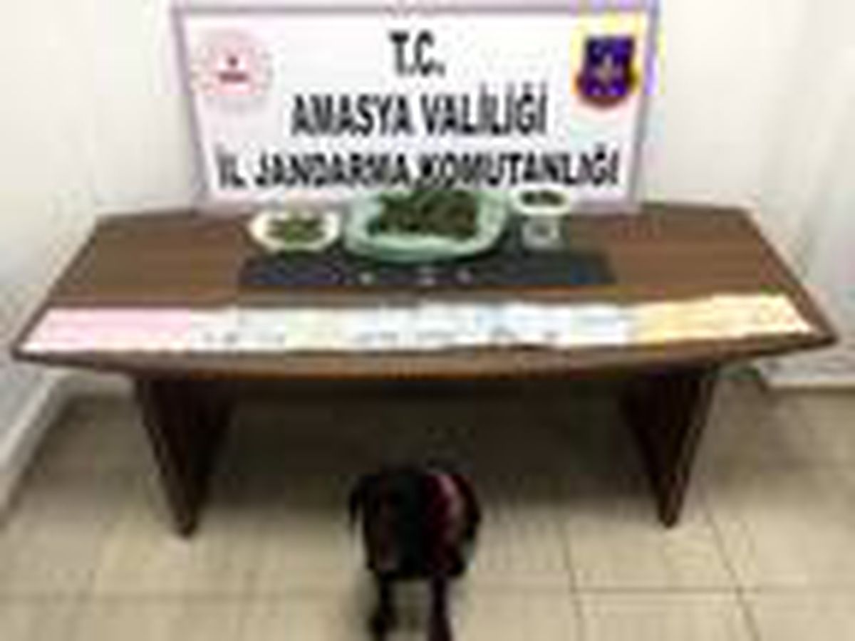 Son Dakika | \'Puslu\' ile aramada uyuşturucu ele geçirildi