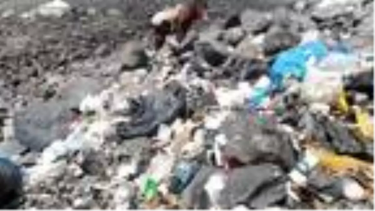 Ağrı Dağı\'nın dorukları çöplüğe döndü