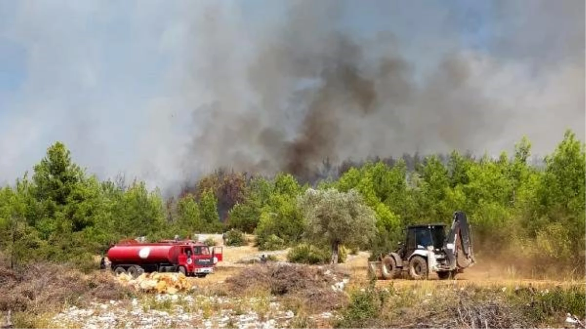Son dakika haberi | Antalya\'da orman yangını (2)- Yeniden