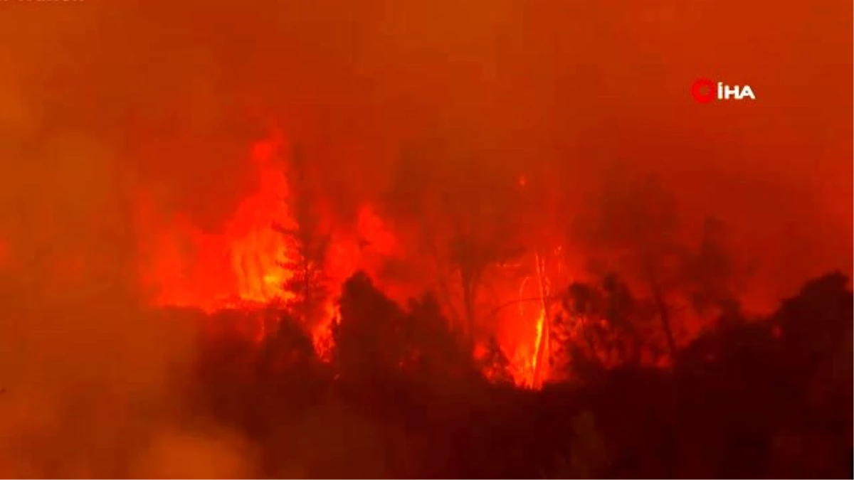 Son Dakika | - California\'daki orman yangınları için Avustralya ve Kanada\'dan yardım talebi- Eyalet genelinde...
