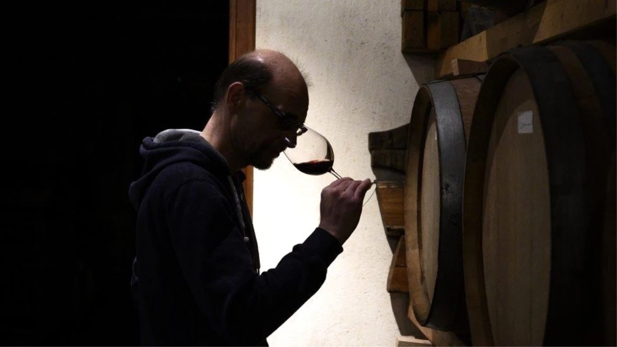 Koronavirüs: İtalya\'da satılamayan 50 milyon litre şarap el temizleme jeli olacak
