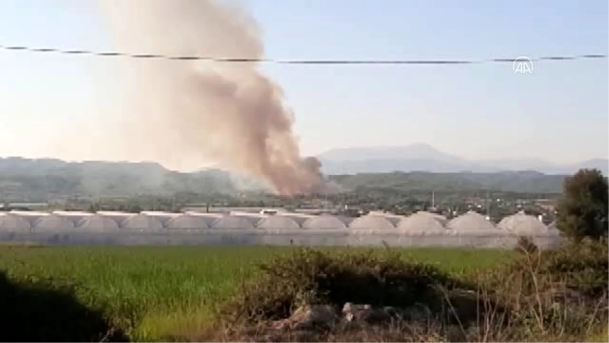 Son dakika haberleri | Manavgat\'ta orman yangını çıktı (2)