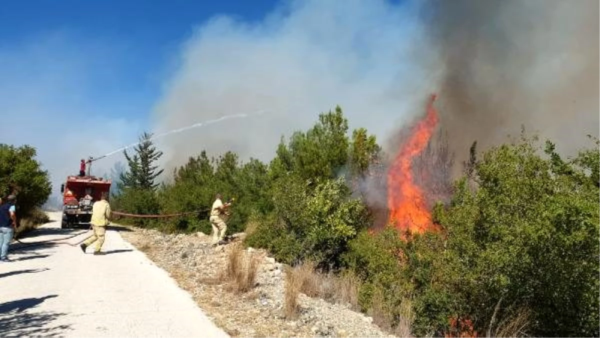 Son dakika haberi | Osmaniye Akçataş köyünde orman yangını