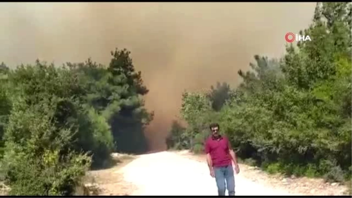 Son dakika haber | Osmaniye\'de çıkan orman yangını kontrol altına alındı