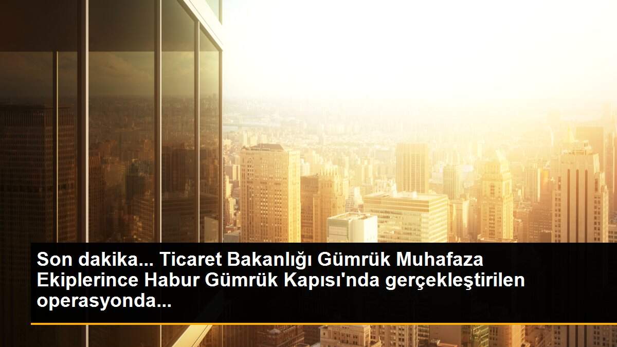 Son dakika... Ticaret Bakanlığı Gümrük Muhafaza Ekiplerince Habur Gümrük Kapısı\'nda gerçekleştirilen operasyonda...