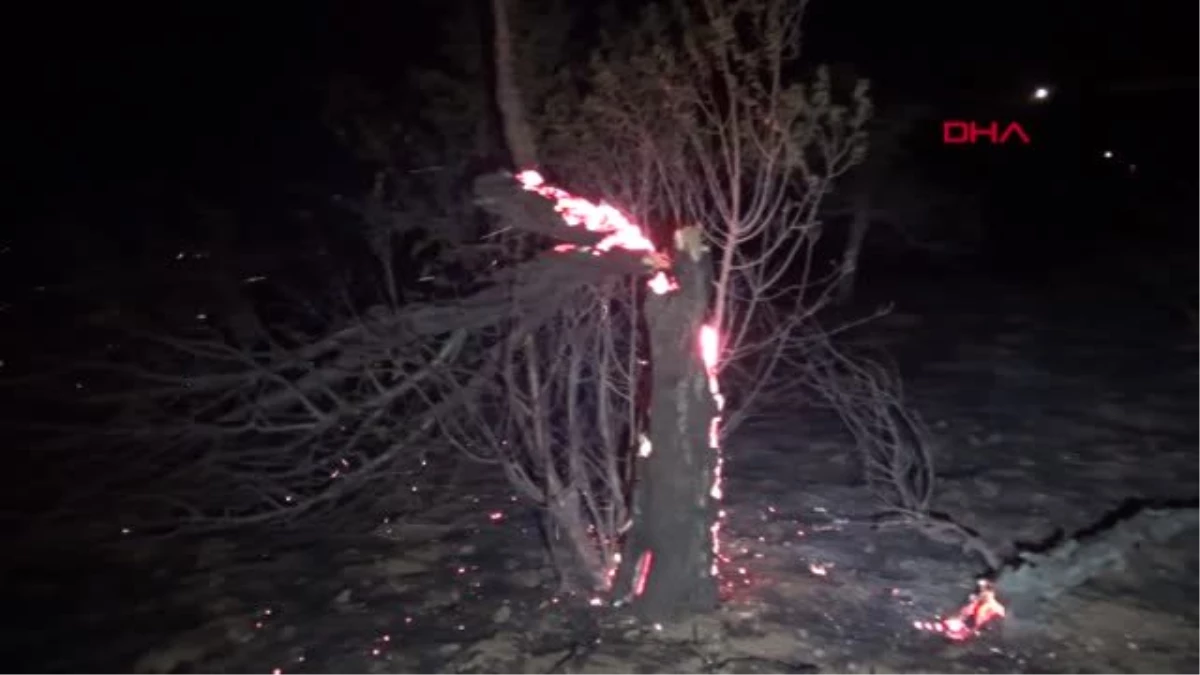 Son dakika haber | Kahramanmaraş\'ta 1 hektarlık bahçe yandı