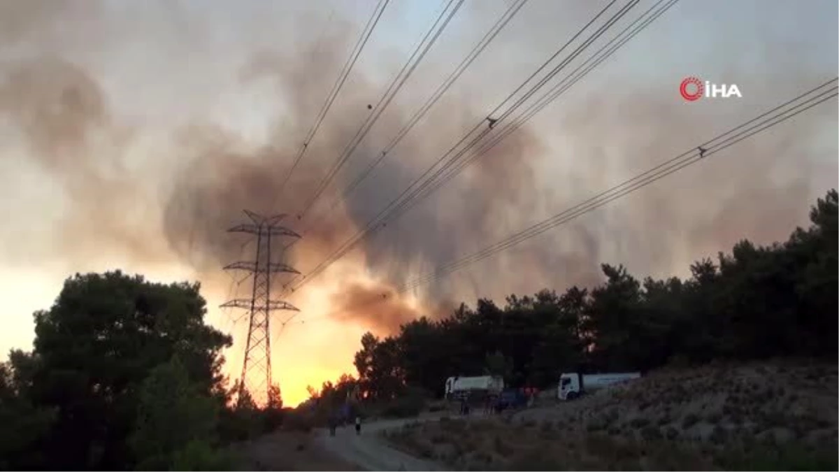 Son Dakika: Manavgat\'taki orman yangınlarında 13 hektarlık alan zarar gördü