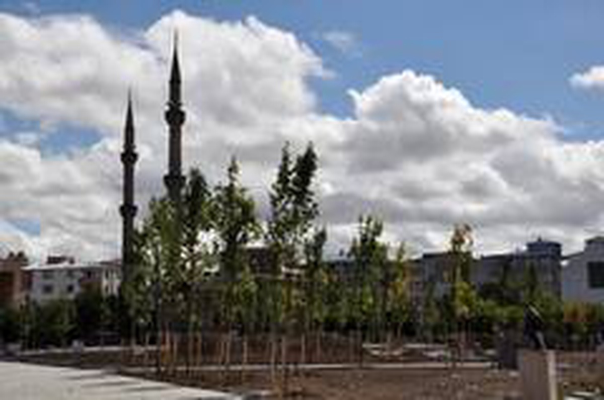 Tarihi Fethiye Cami ağaçlar arasında kayboldu