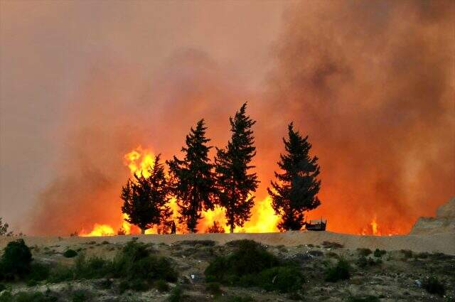 Adana'da havanın aydınlanmasıyla yangına havadan müdahale tekrar başladı -  Son Dakika