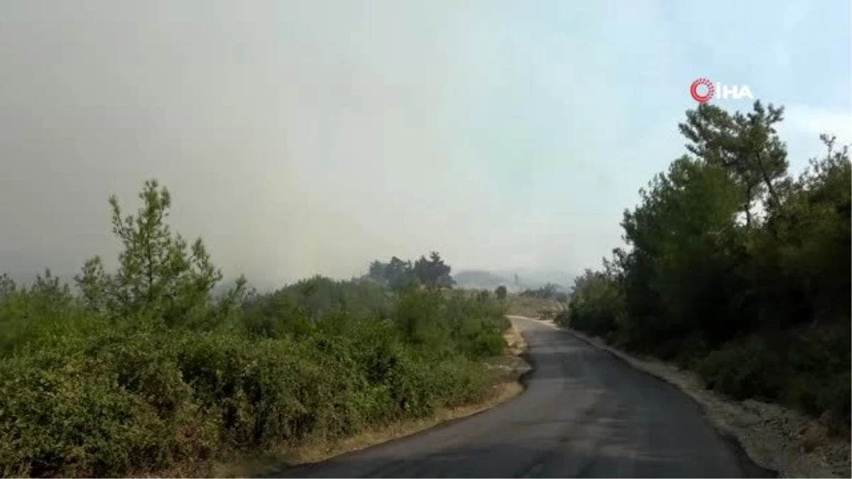 Son dakika haber | Adana\'da orman yangını ve köylülerin bekleyişi sürüyor