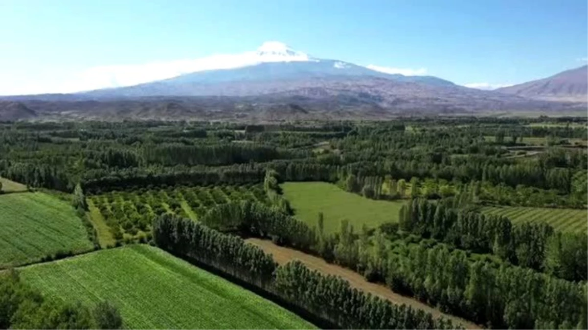 Ağrı Dağı\'na mevsimin ilk karı yağdı