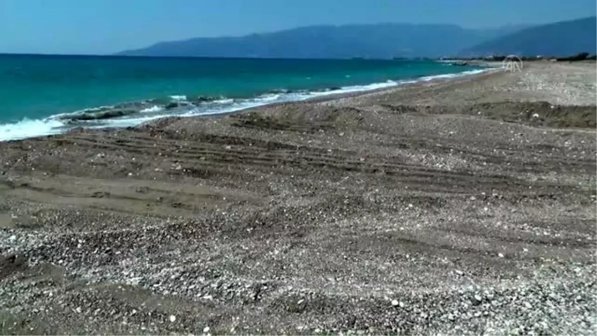 Antalya\'da caretta carettaların üreme alanına iş makinesiyle girildi