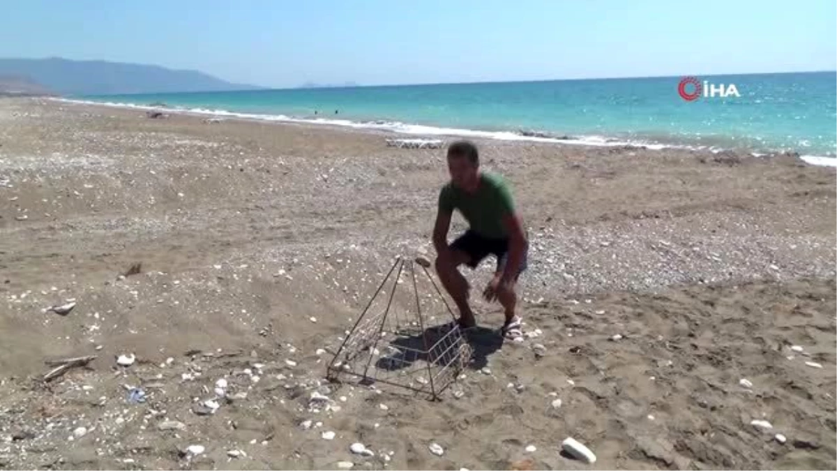 Antalya\'da kepçenin caretta caretta yuvalarına verdiği zarara ilk tepki 60 bin lira ceza yiyen...