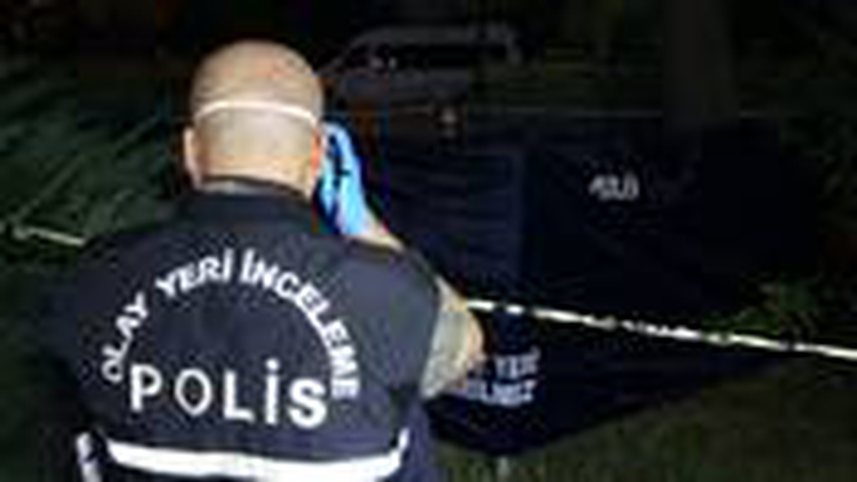 Balıkesir\'de bir kişi, koyunlar yüzünden tartıştığı komşusunu öldürdükten sonra intihar etti
