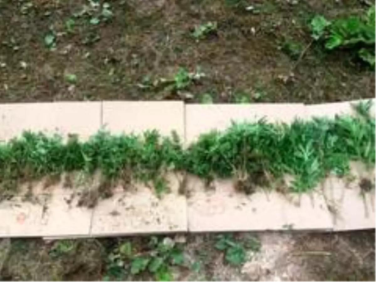 Son dakika haber... Bartın merkezli 4 ilde uyuşturucu operasyonu