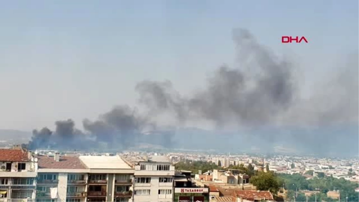 Son dakika haber... Bursa\'da plastik atıkların yer aldığı alanda yangın çıktı