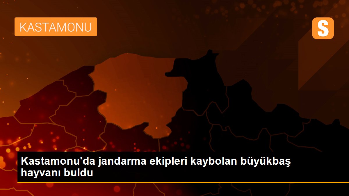 Son dakika haberleri... Kastamonu\'da jandarma ekipleri kaybolan büyükbaş hayvanı buldu