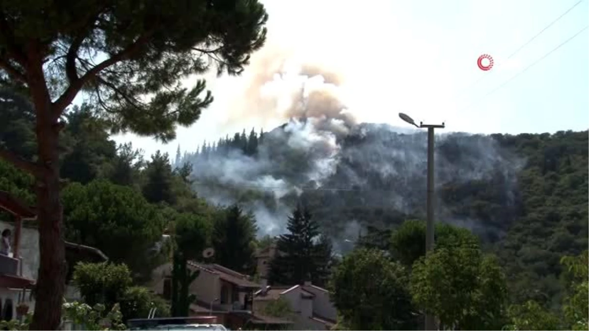 Son dakika haber | Kocaeli\'de orman yangınına helikopterle müdahale sürüyor