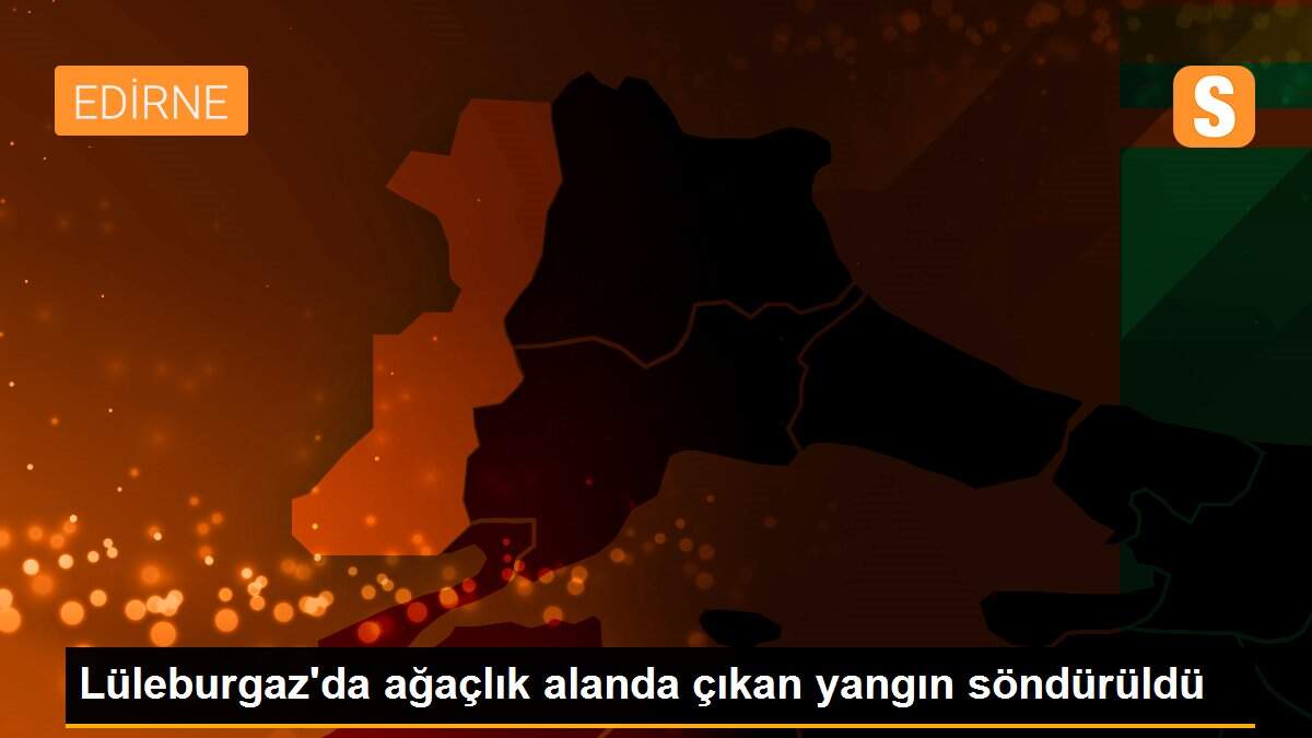 Son Dakika | Lüleburgaz\'da ağaçlık alanda çıkan yangın söndürüldü