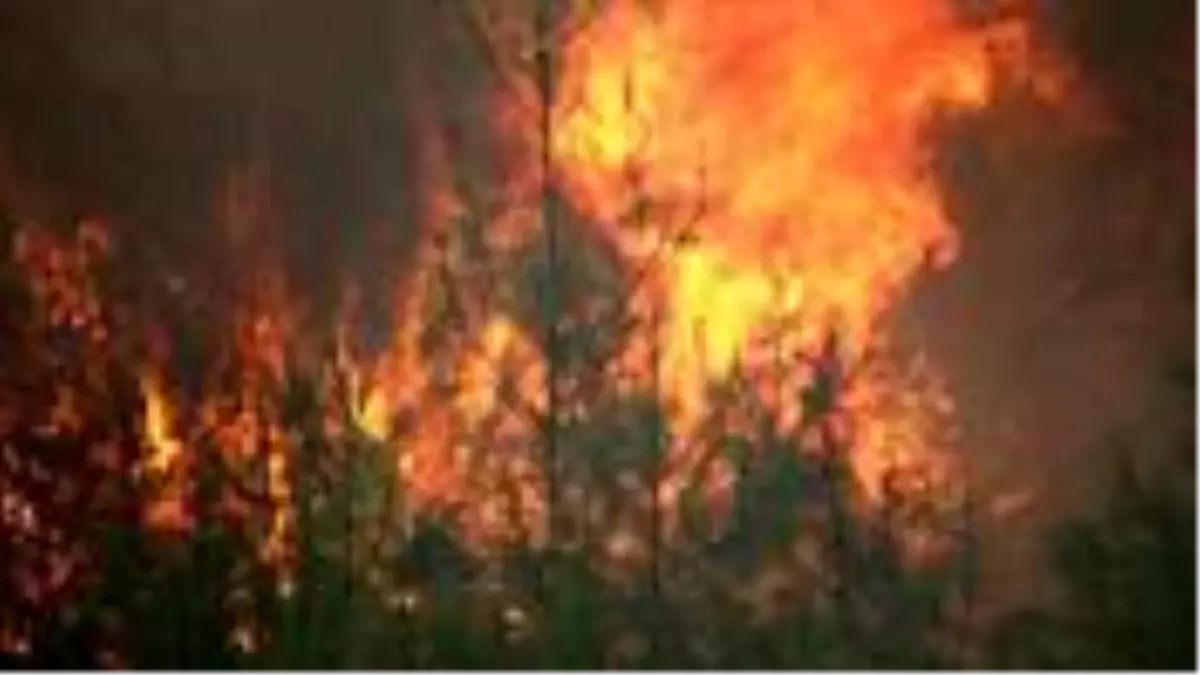 Adana Kozan\'daki yangınla ilgili 3 kişi gözaltına alındı