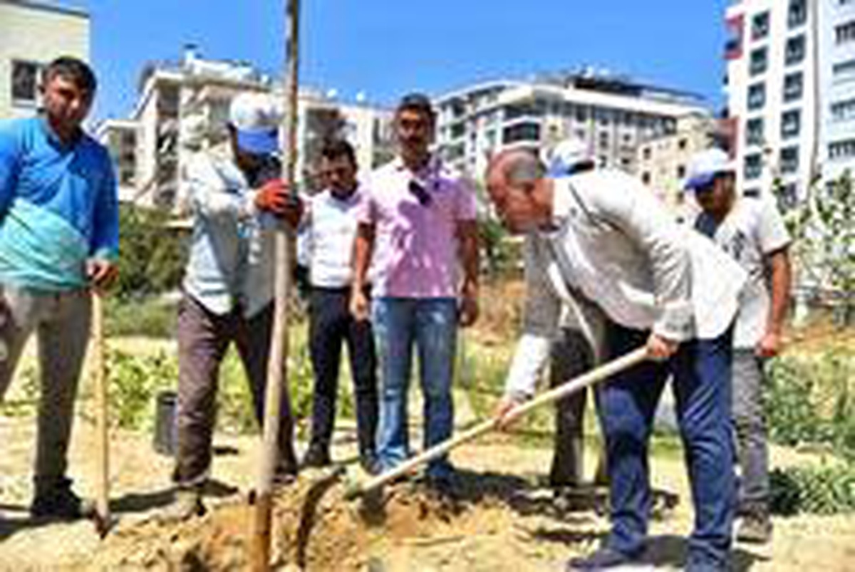 Başkan Kaya Sandıklı parkındaki çalışmaları inceledi