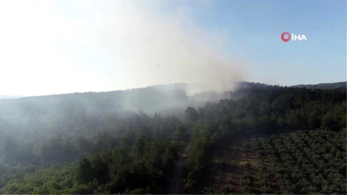 Son dakika haberleri! Bursa\'daki orman yangınında ihmal iddiası