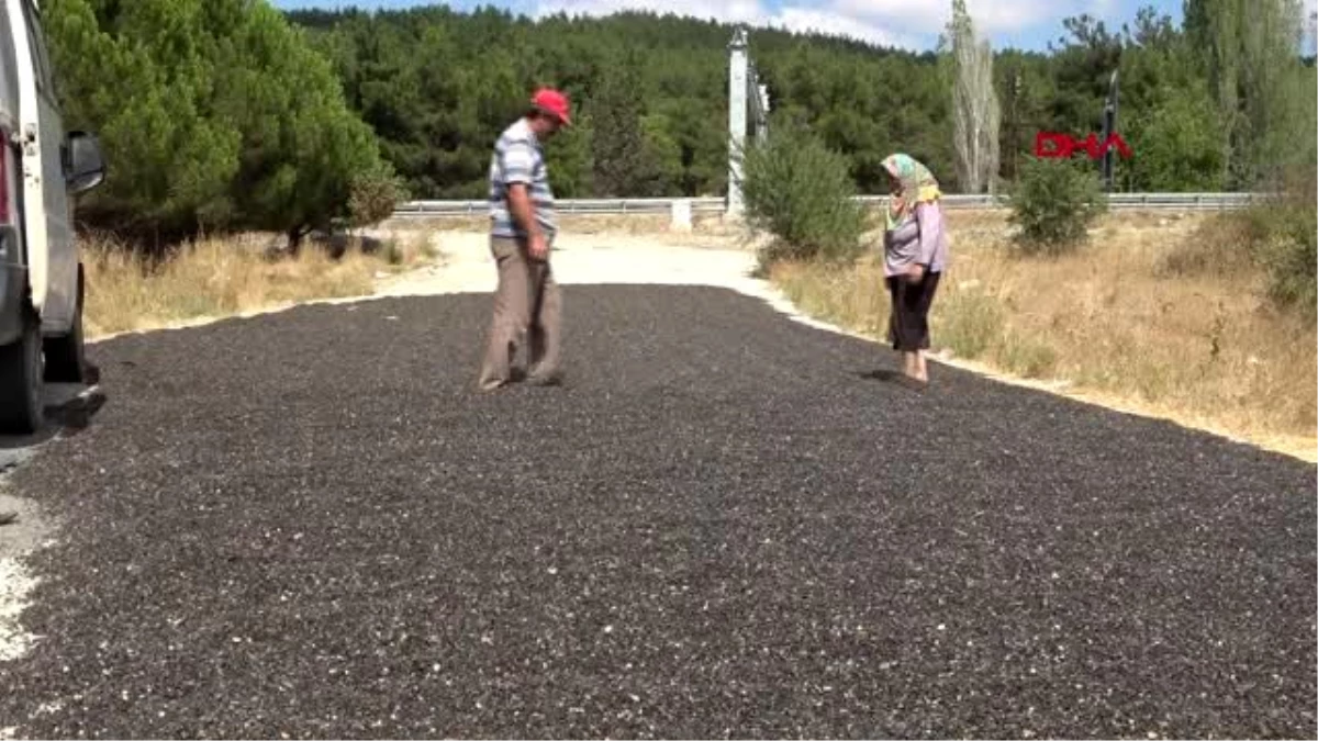 Erken hasat ettiği ay çekirdeğini yola serdi