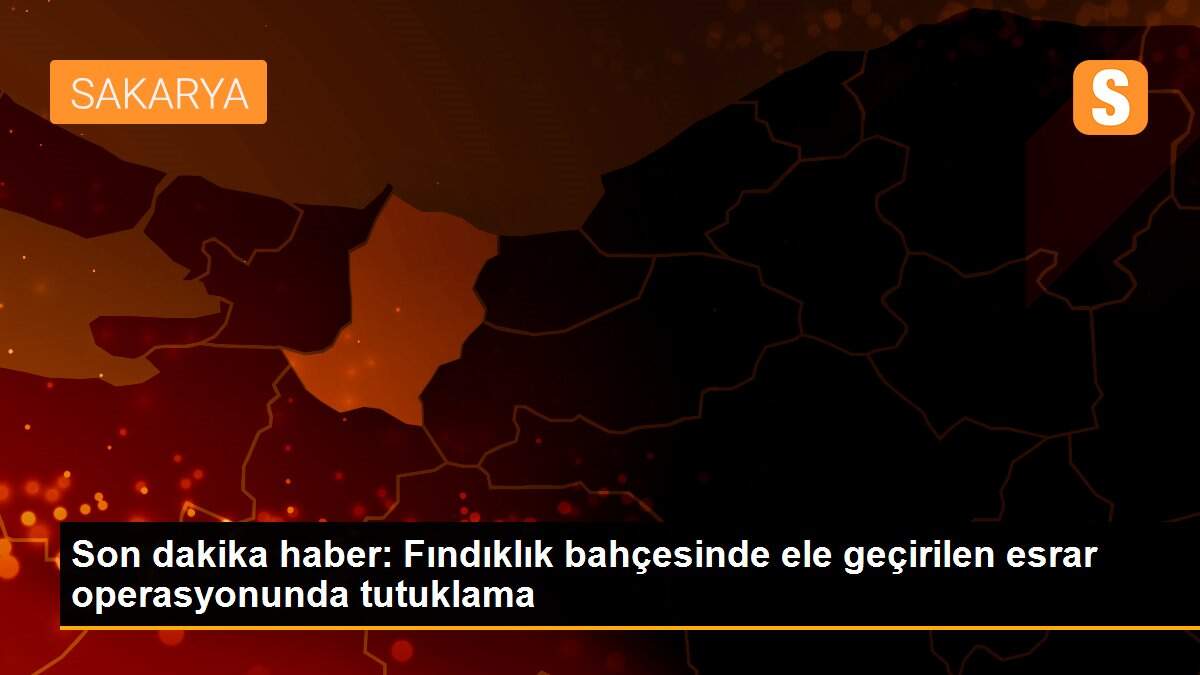 Son dakika haber: Fındıklık bahçesinde ele geçirilen esrar operasyonunda tutuklama