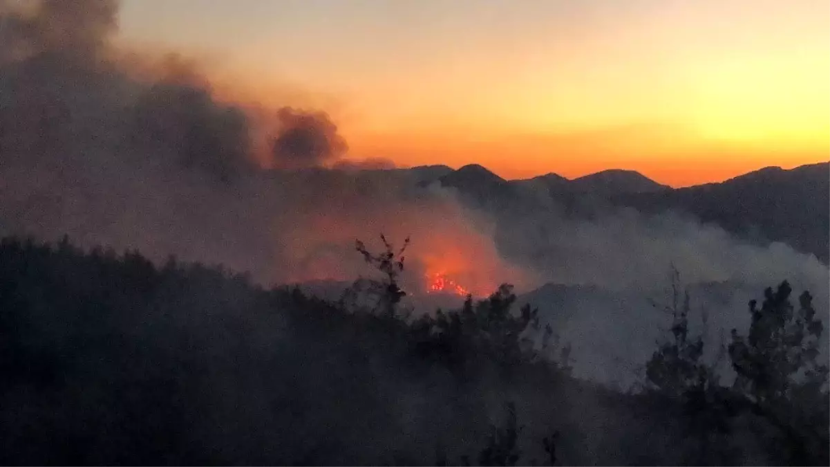 Son dakika haber... Orman yangını kontrol altına alındı, 3 kişi gözaltında