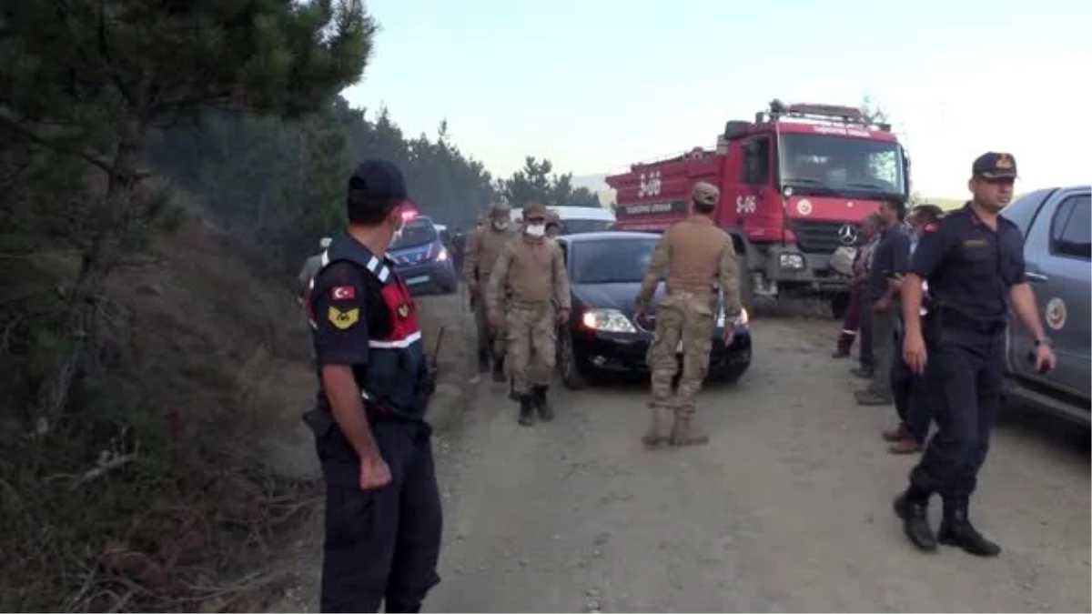 Son dakika haberi: Orman yangınına müdahale ediliyor