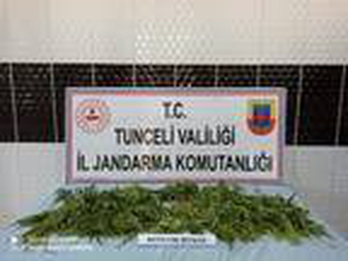 Son dakika! Tunceli\'de uyuşturucu operasyonu