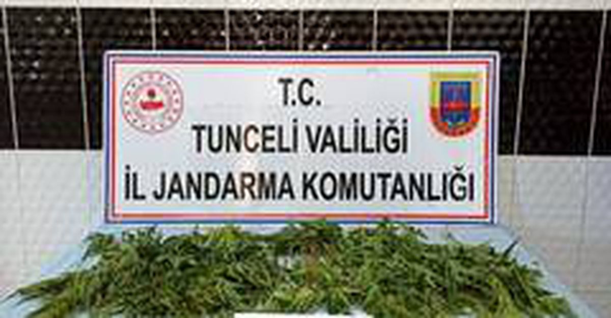 Son dakika haberi | Tunceli\'de uyuşturucuyla mücadele