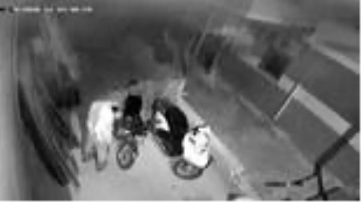 Son dakika gündem: Alanya\'da çalınan motosiklet ve papağan bulundu