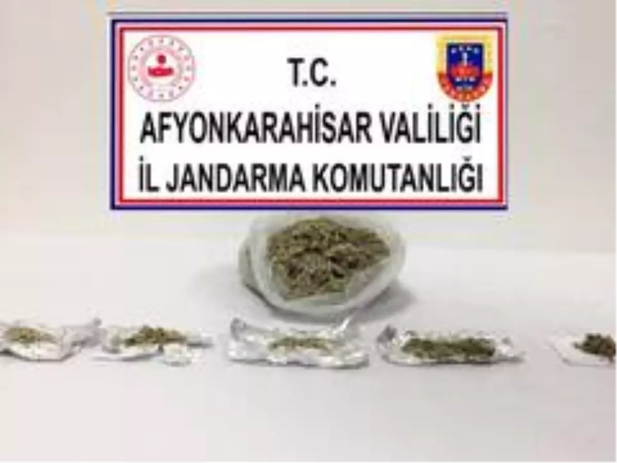 Son dakika haberi... Bonzaiyi satmak isterken jandarma ve polise yakalandılar