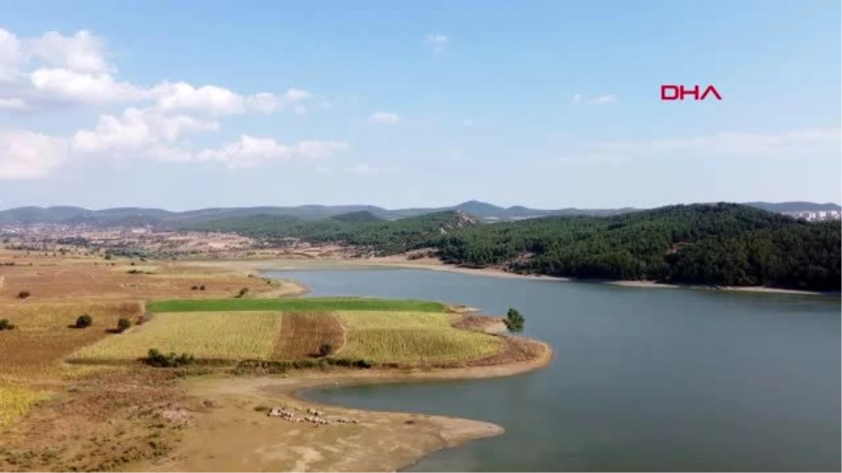 EDİRNE Kısmen kuruyan gölette koyunlar otluyor, vatandaşlar yürüyüş yapıyor