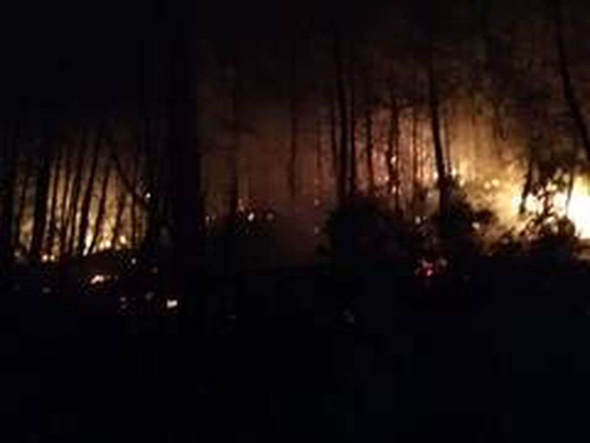 Son dakika haber... Göcek\'teki orman yangını kontrol altına alındı