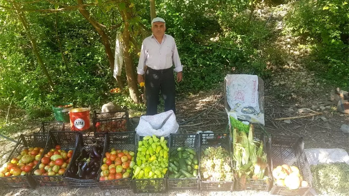 Hakkari-Şırnak karayolu üzerinde sebze tezgahları kuruldu