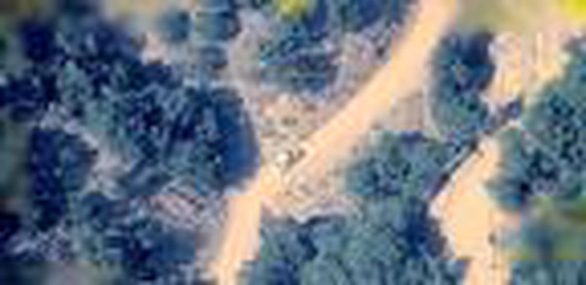 Son dakika haberi: İHA\'nın yerini tespit ettiği teröristi, yanına götürülen annesi ikna etti